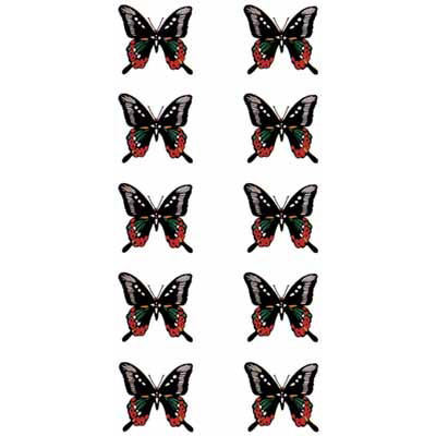 �^�g�D�[�V�[���@���i�^�g�D�[�E�h�V�[���j